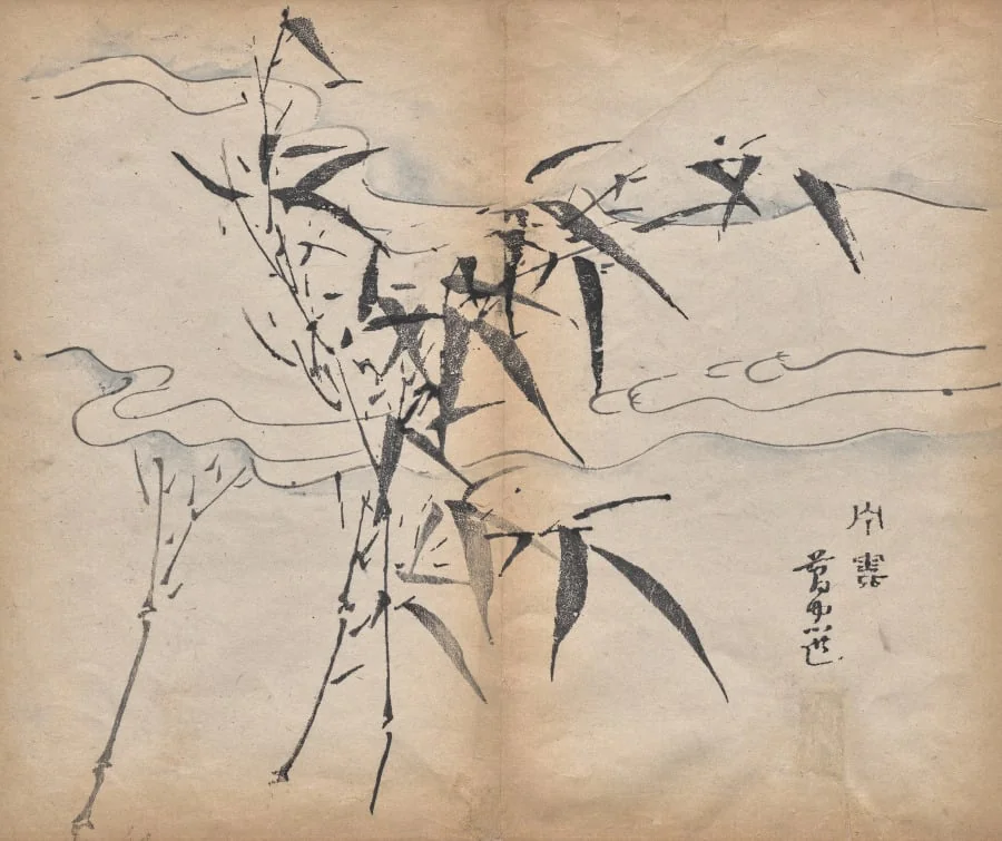 Bamboo, by Unknown, 1625