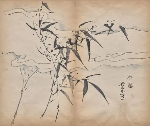 Bamboo