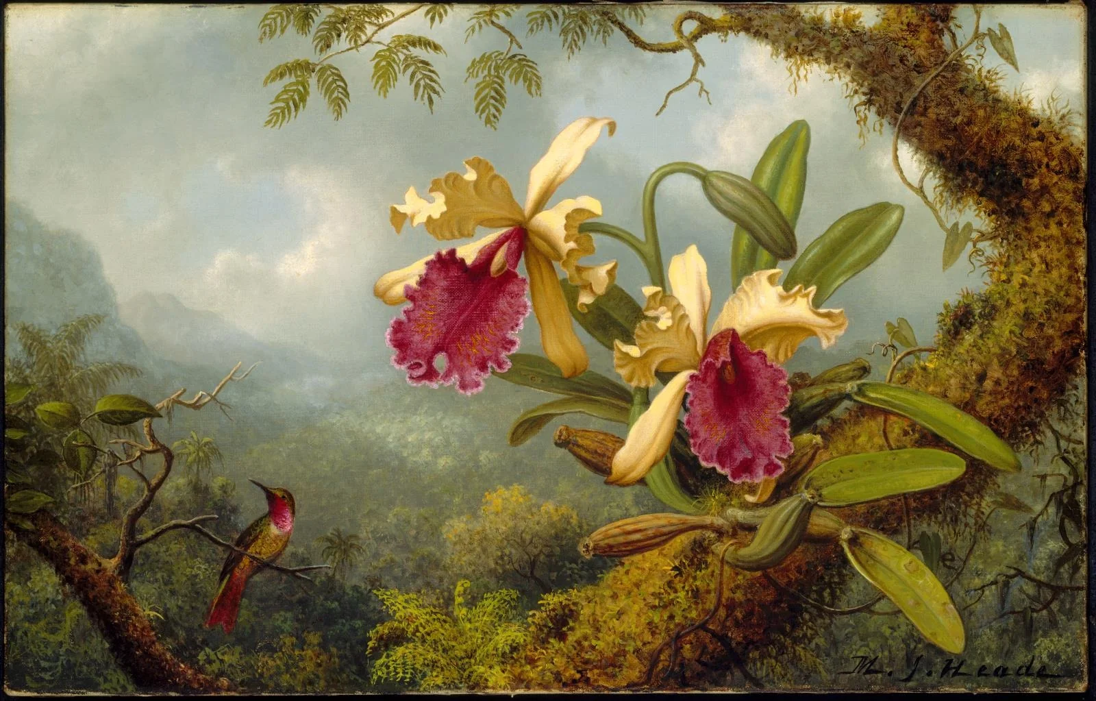 Orchids and Hummingbird, by Martin Johnson Heade, oil, 1869