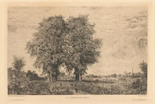 Les Ormeaux de Cénon
