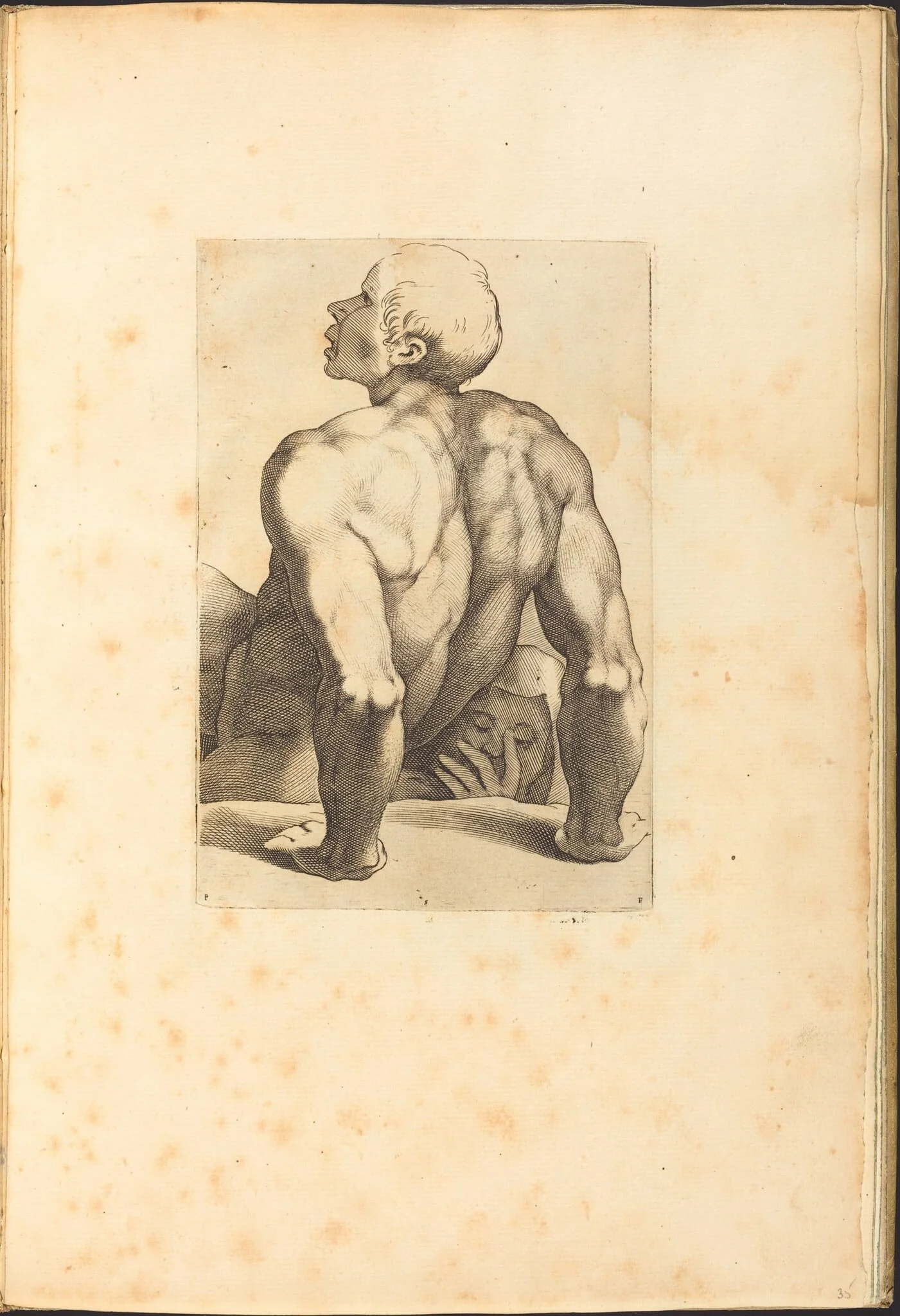 Print from Drawing Book, by Luca Ciamberlano, ink, 1615