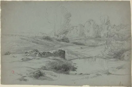 A Rocky Meadow by a River
