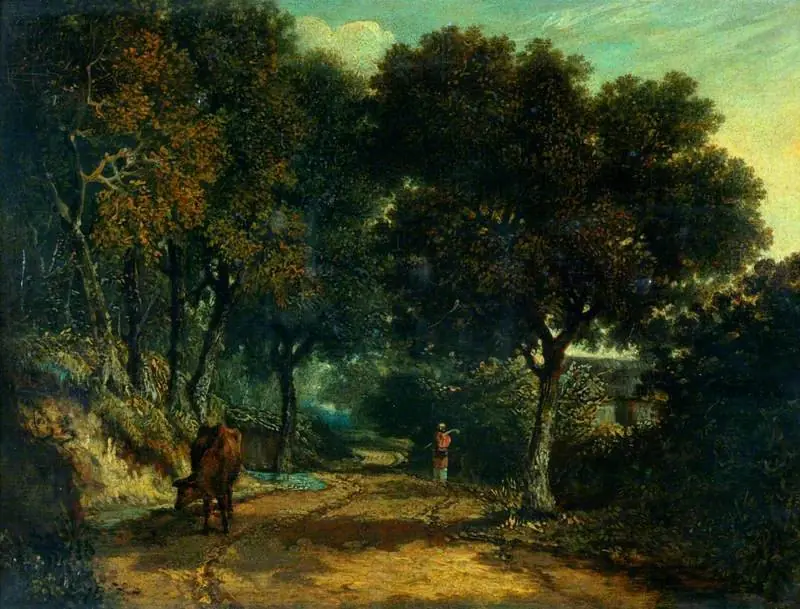 A Shady Country Road