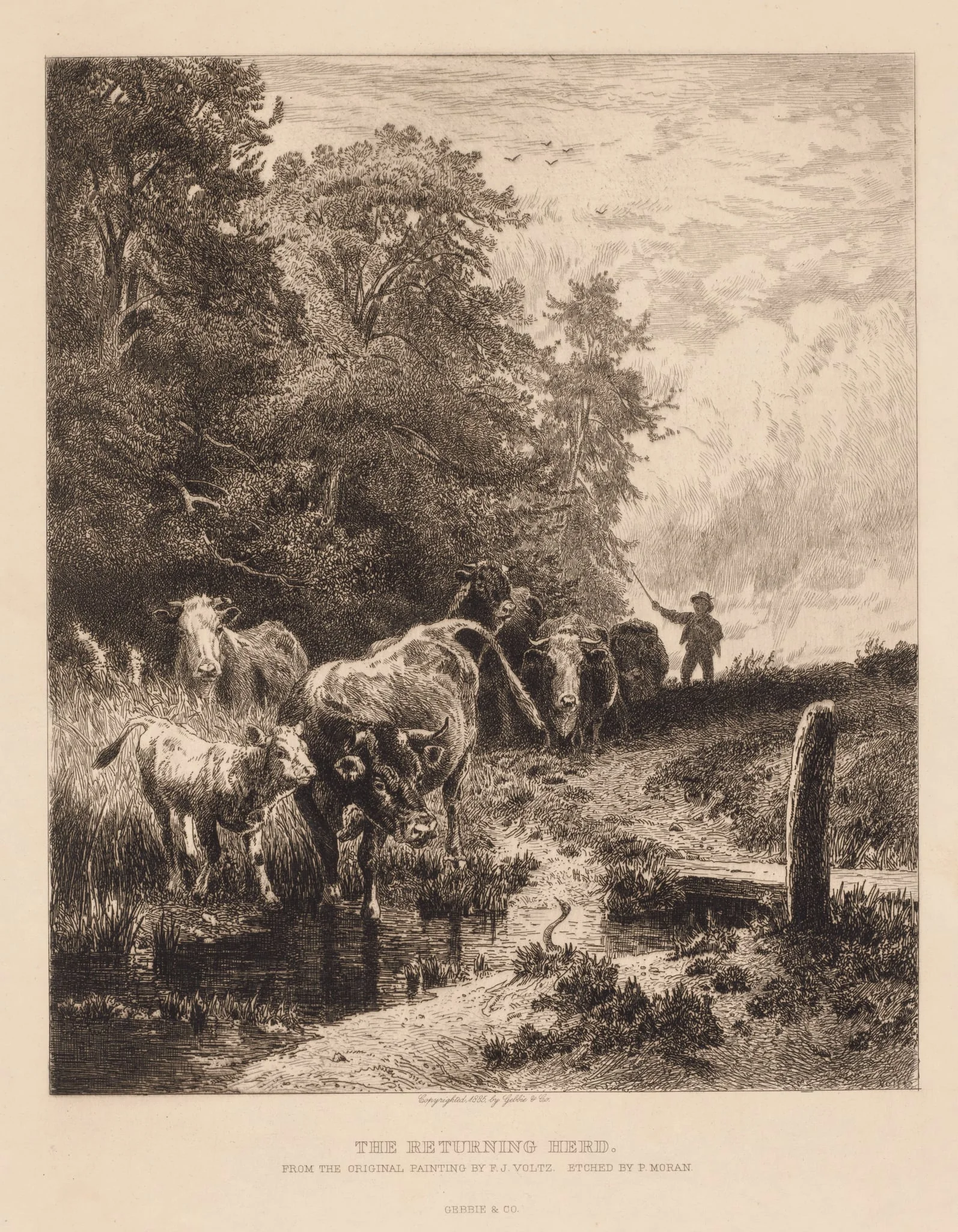 The Returning Herd