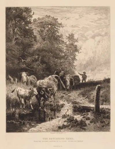 The Returning Herd