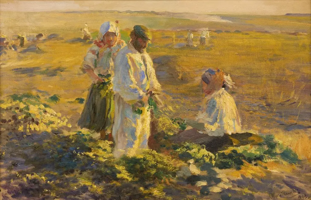 Beet-Lifting