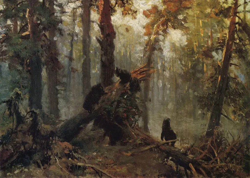 Morning in a Pine Forest. Sketch