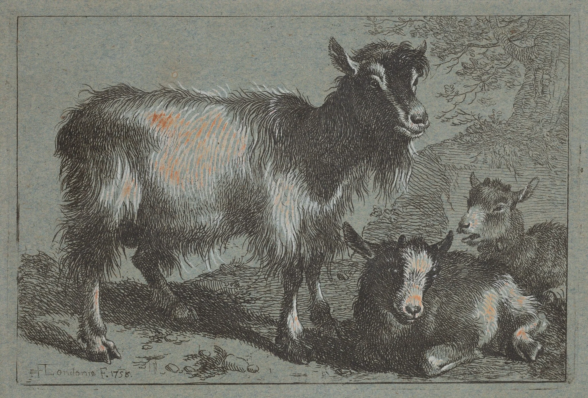 Goat and Two Kids, by Francesco Londonio, ink, 1758
