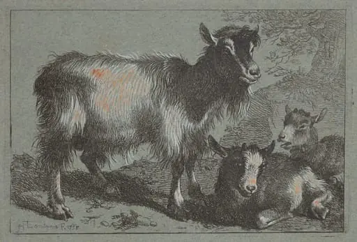Goat and Two Kids