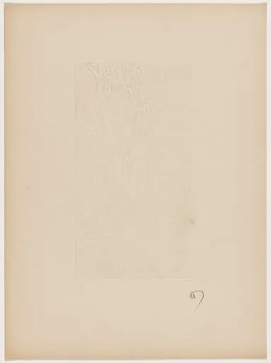 Léger relief pour une reliure (Light Relief for a Binding)
