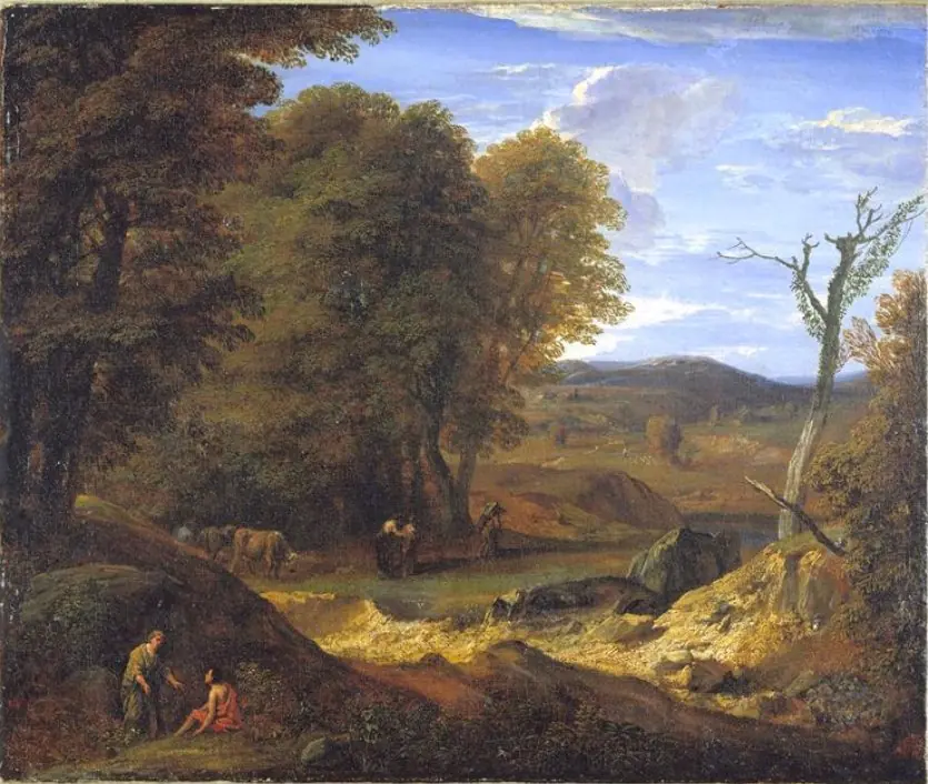 Forest landscape