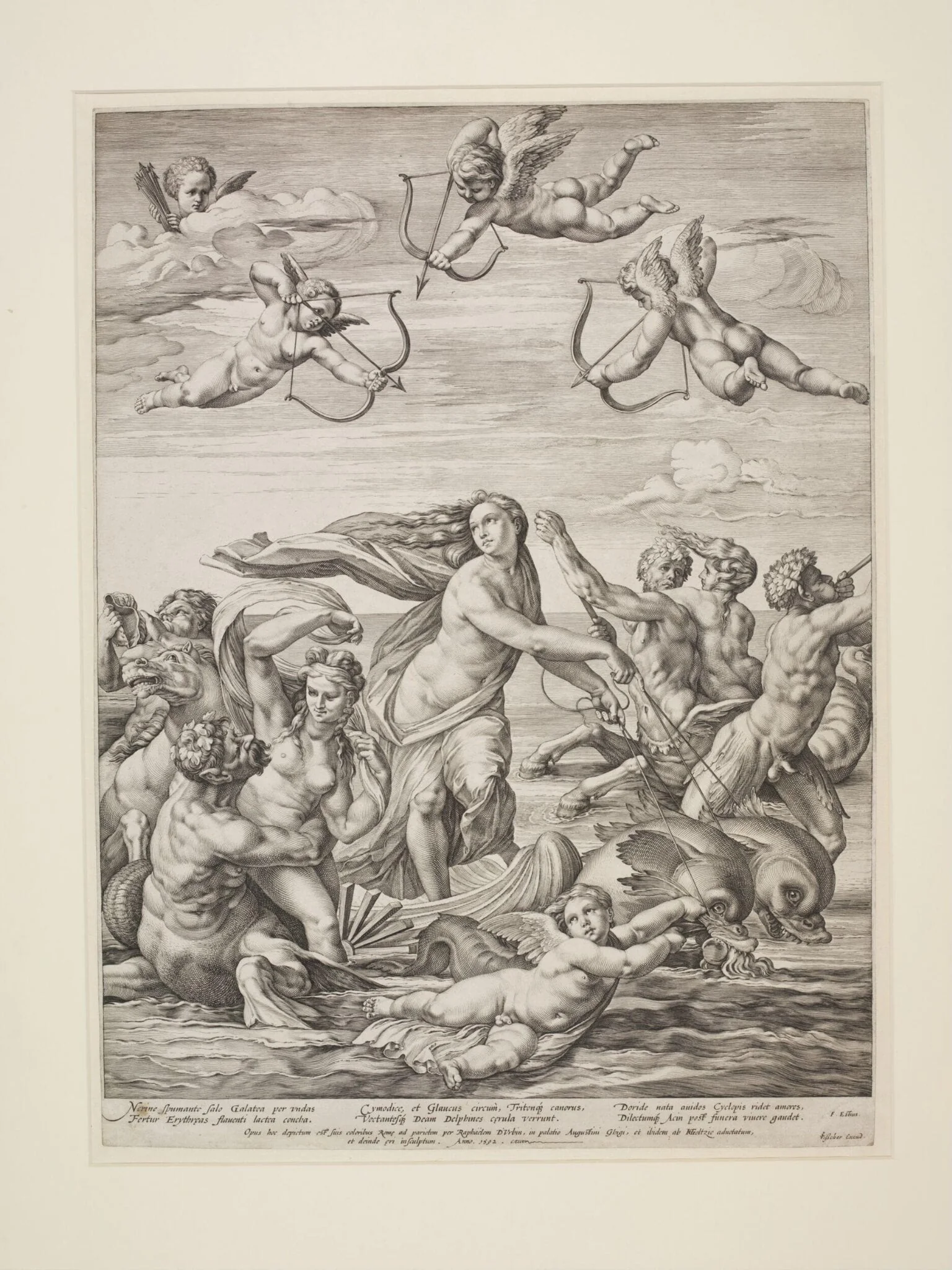 Triumph of Galatea