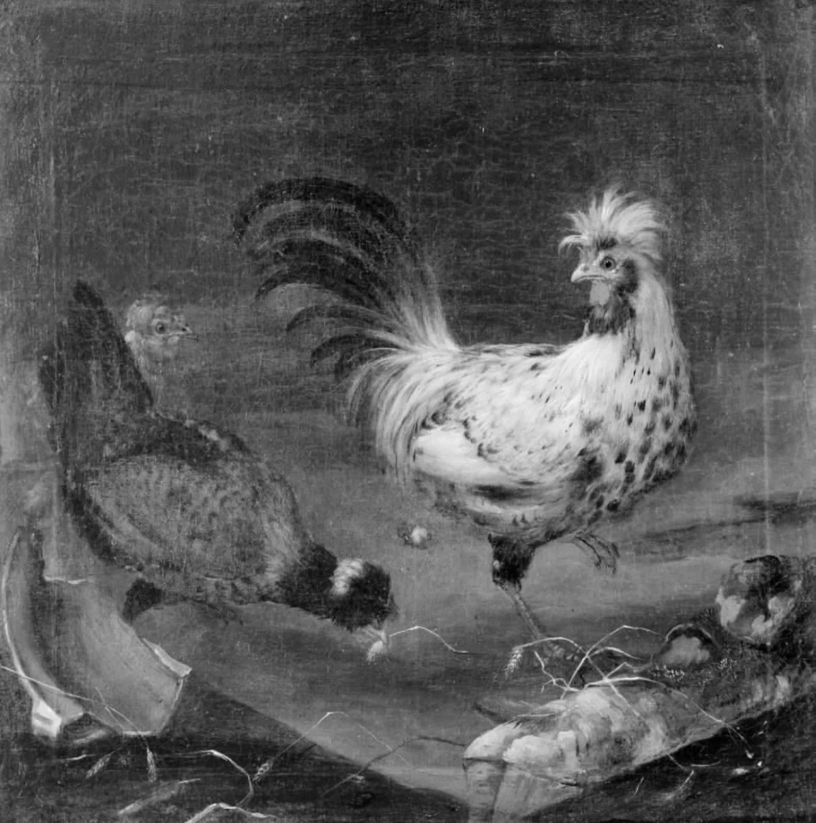 Two Hens and a Cock, by Unknown, 1750
