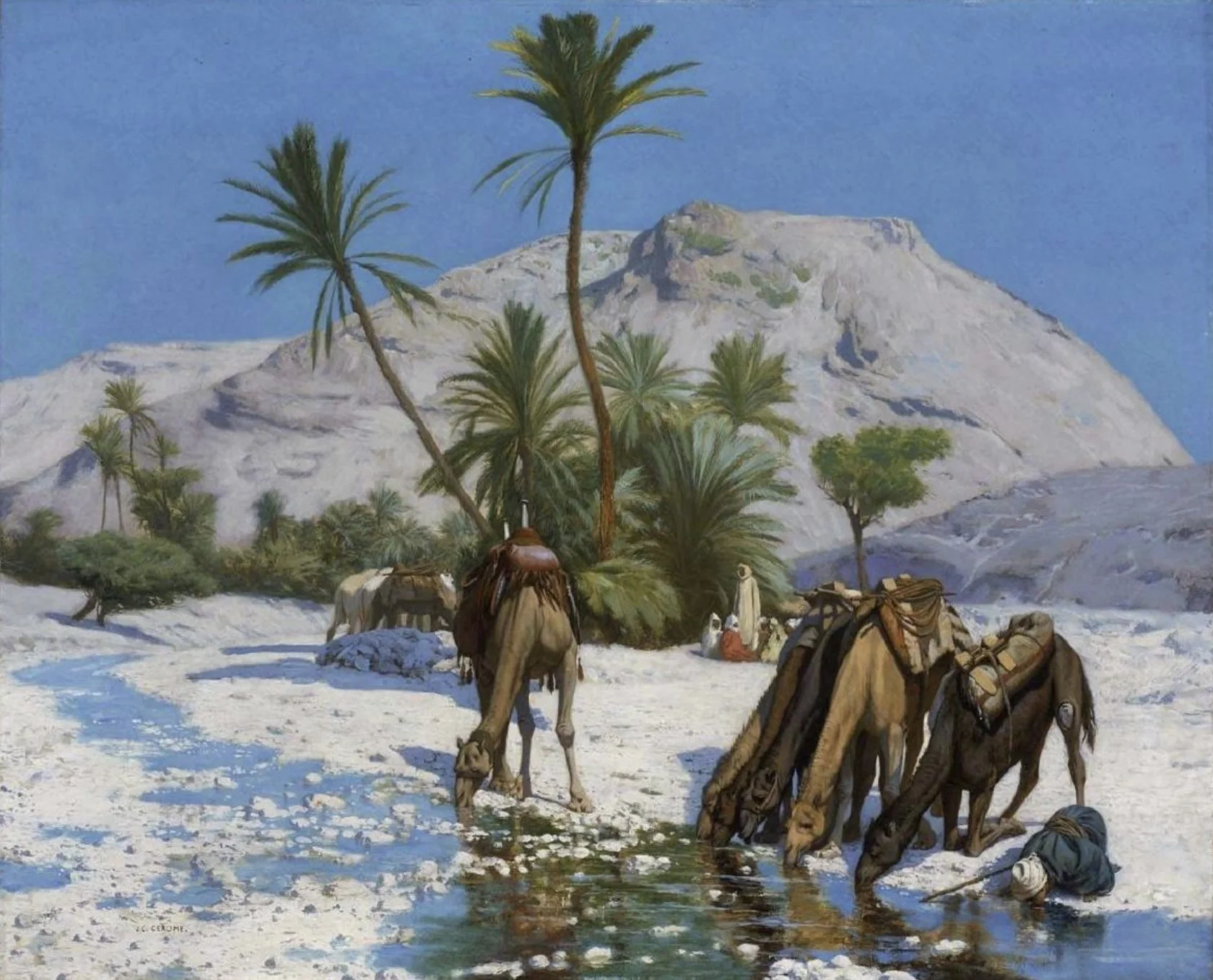 Oasis