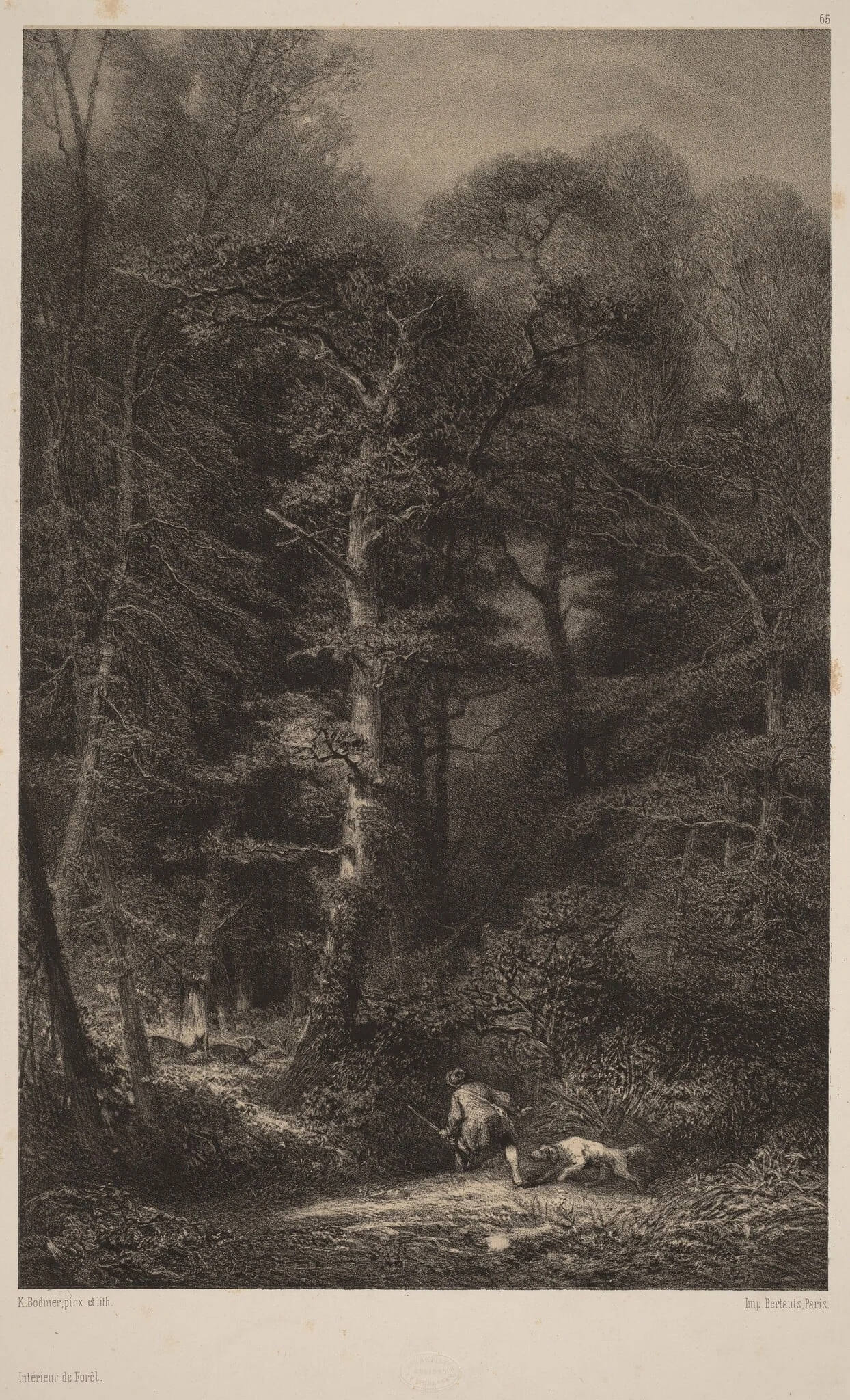 Intérieur de Forêt