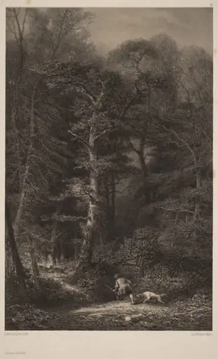 Intérieur de Forêt