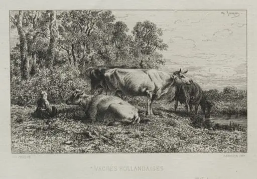 Holland Cows