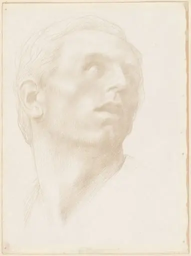 Head of a Man Looking Up to the Right