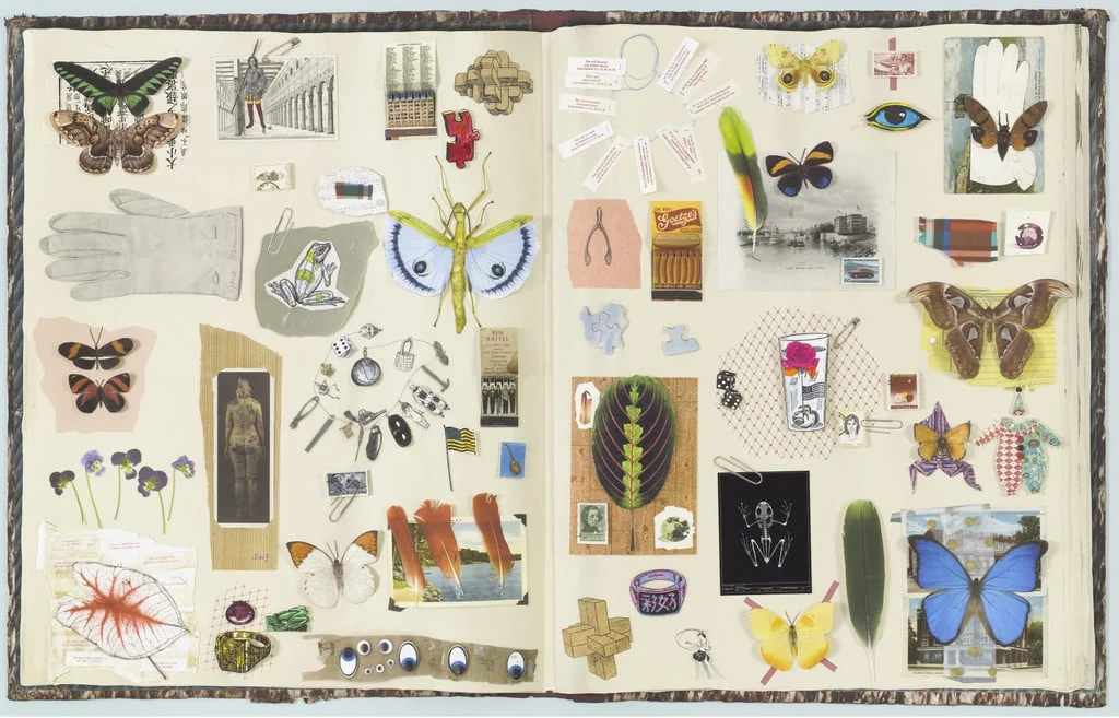 Untitled, by Jane Hammond, watercolor, 2003