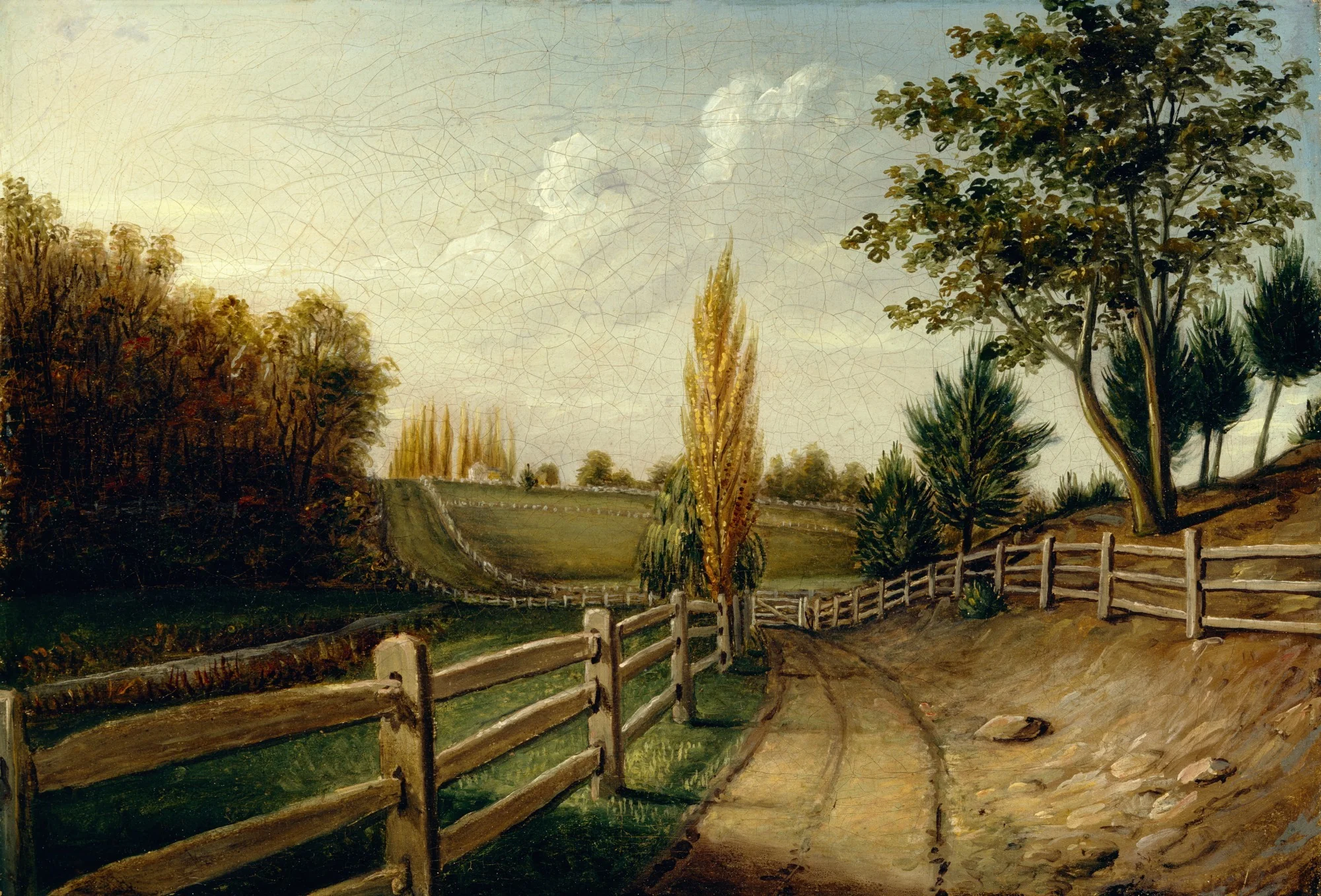 Belfield Farm