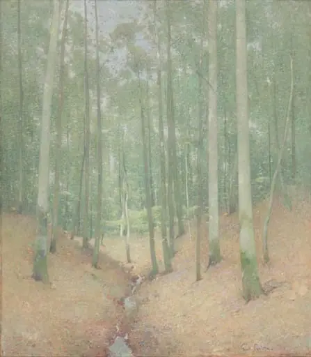 Wood Interior