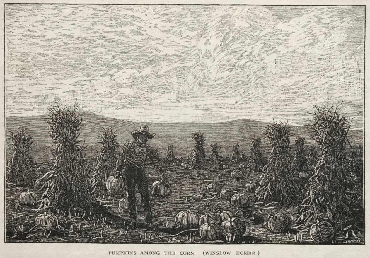 Pumpkins Among the Corn, by Winslow Homer, 1878