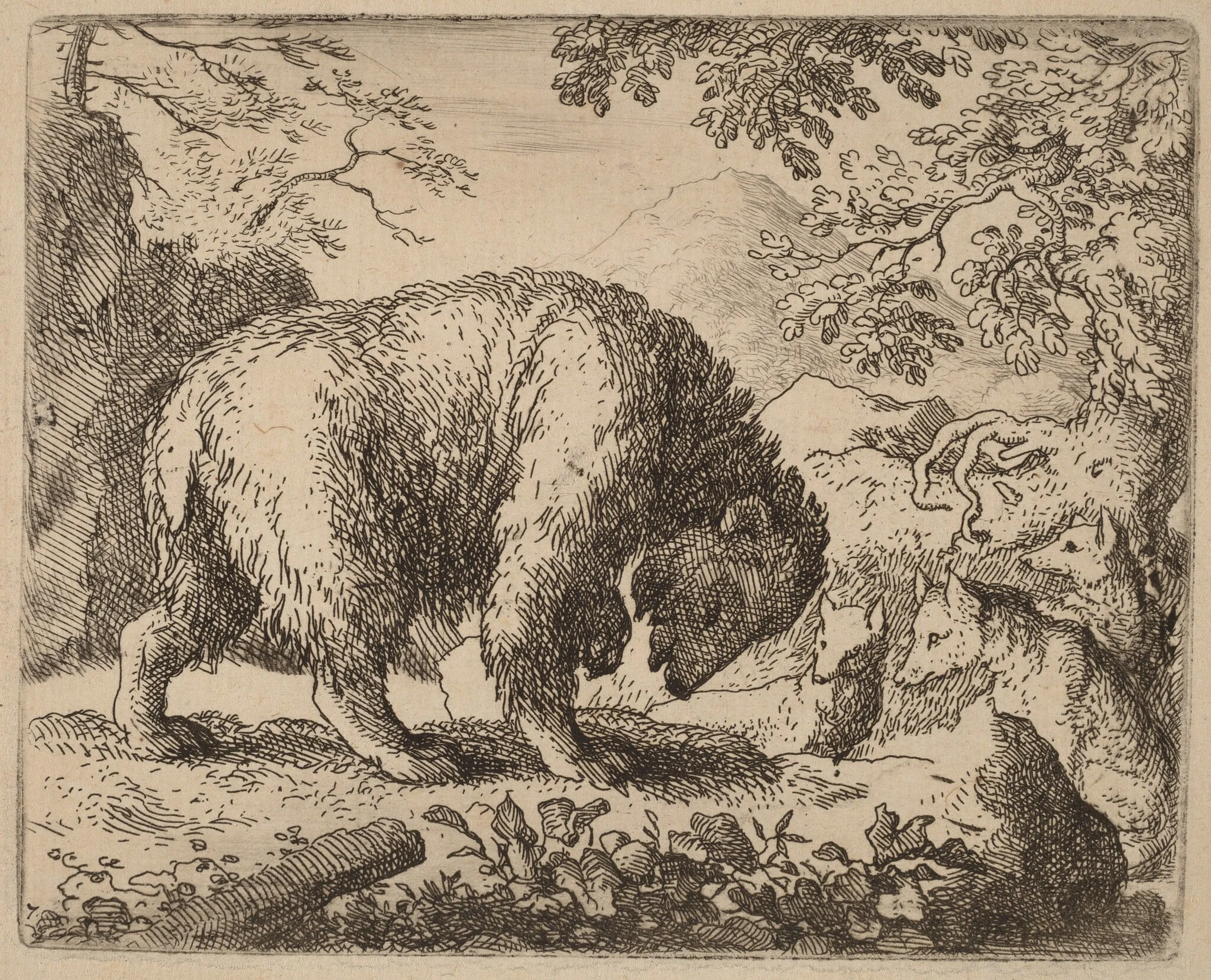The Bear Distracted with Talk of Honey, by Allart van Everdingen, ink, 1650