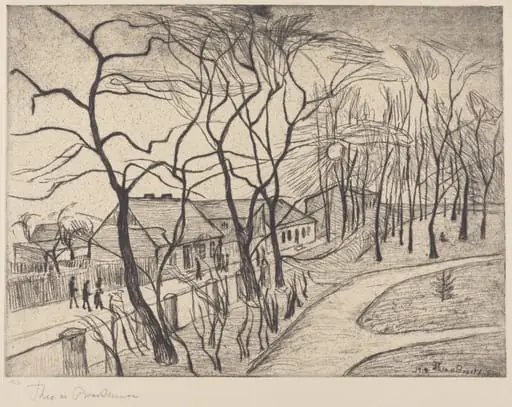 Landscape