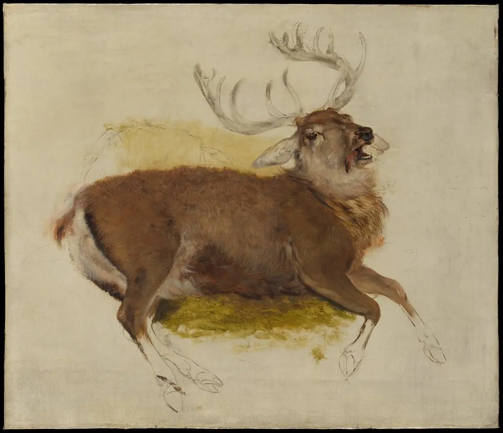 Dying Stag