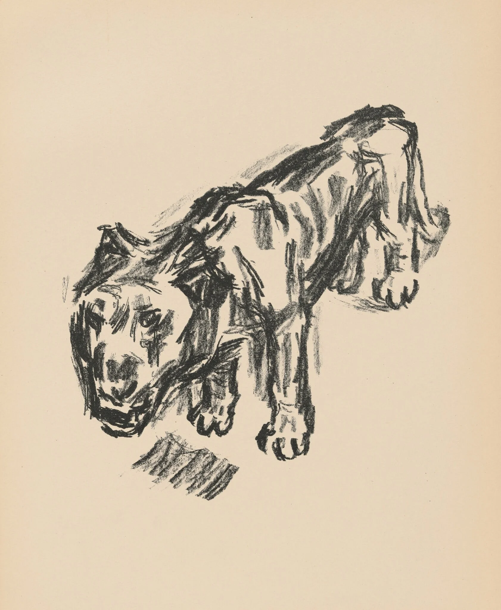 Löwe (Lion) from Deutsche Graphiker der Gegenwart (German Printmakers of Our Time), by René Beeh, ink, 1920
