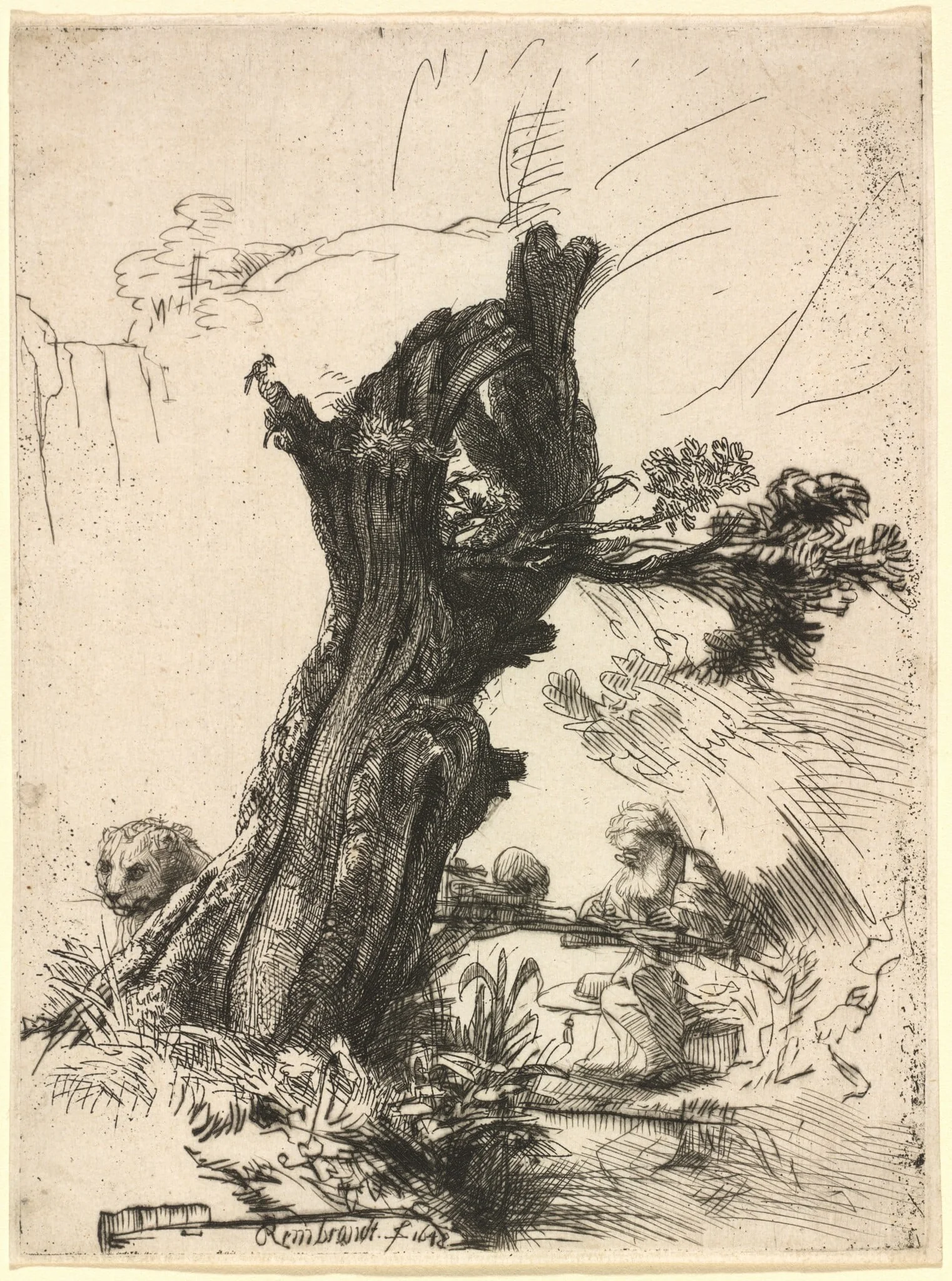 Saint Jerome beside a Pollard Willow, by Rembrandt, ink, 1648
