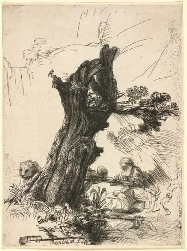 Saint Jerome beside a Pollard Willow