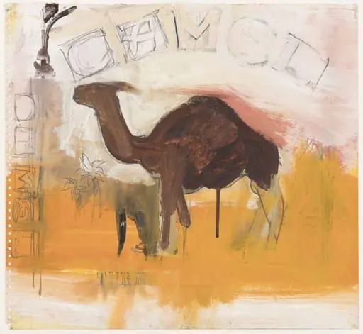 Dark Camel