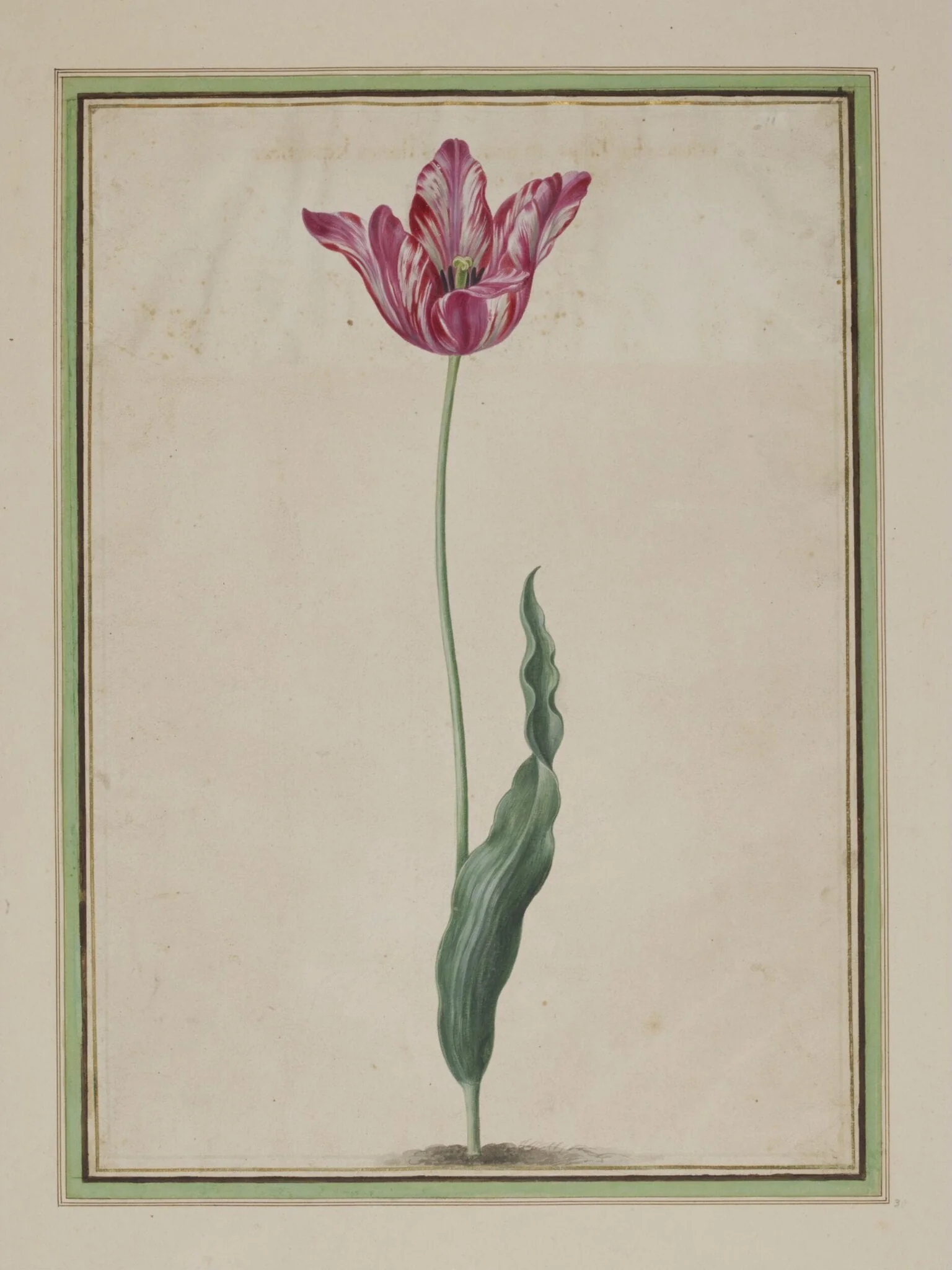 Simulacrum Scenographicum Celeberrimi Horti Itzsteinensis, by Johann Jakob Walther, watercolor, 1663