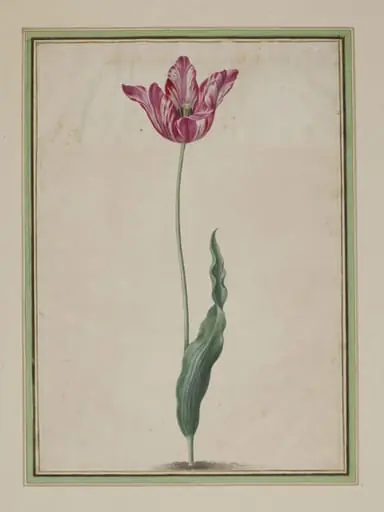 Simulacrum Scenographicum Celeberrimi Horti Itzsteinensis