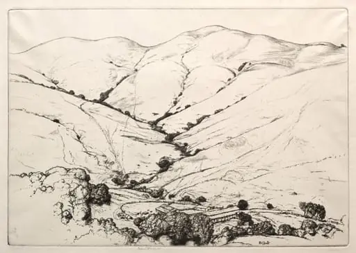 Wildcat Canyon
