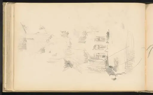 House Surrounded by Vegetation