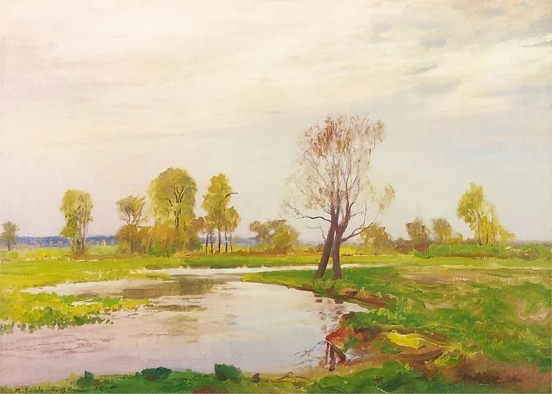Meadow over the Warta river