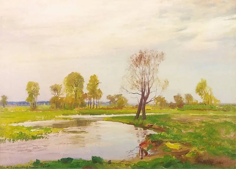 Meadow over the Warta river