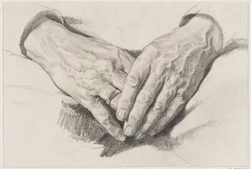 Study of Hands