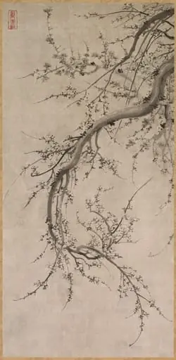 Prunus