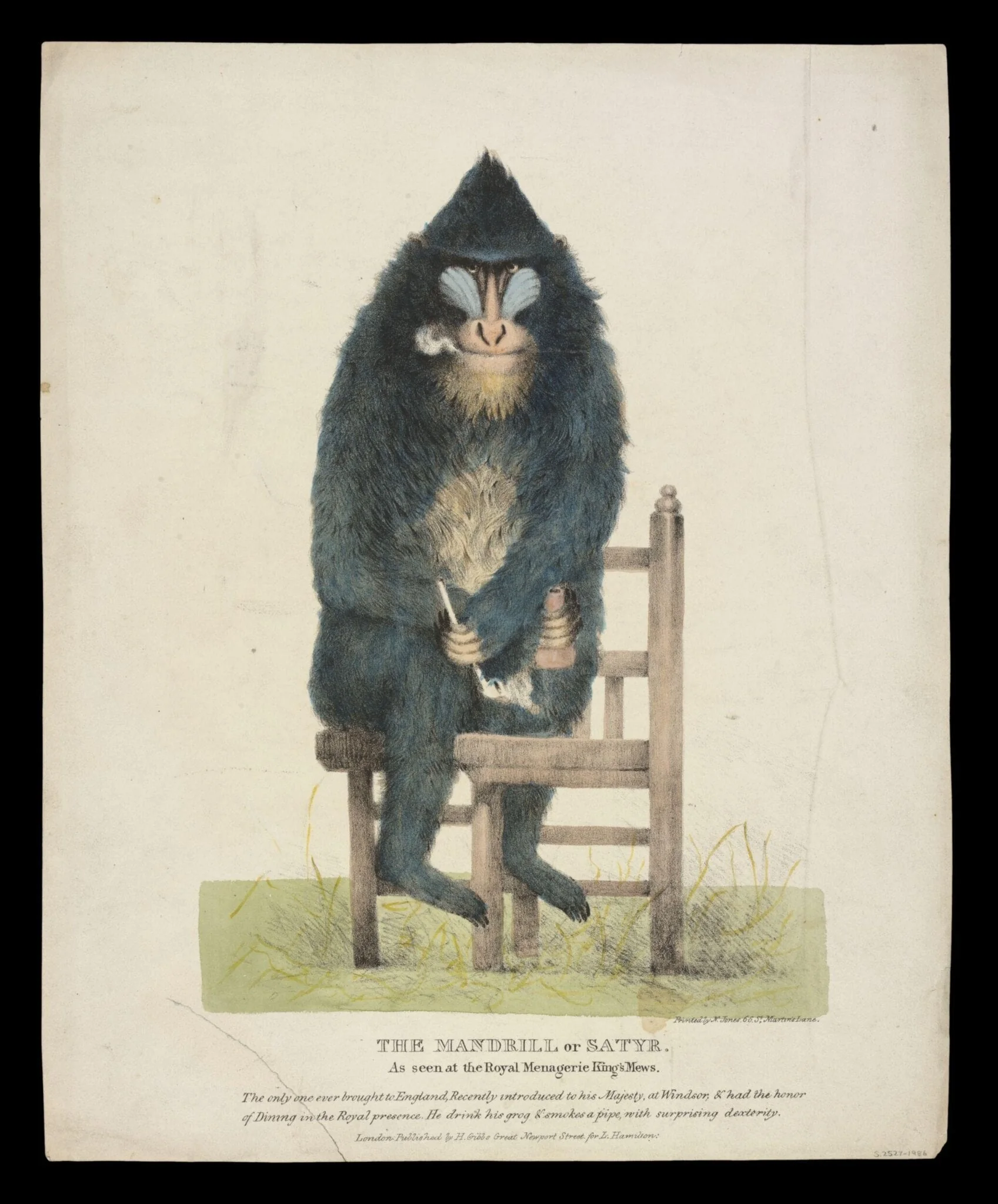 Print Collection