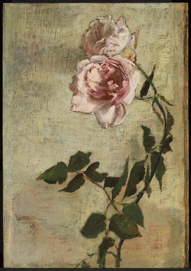 Roses