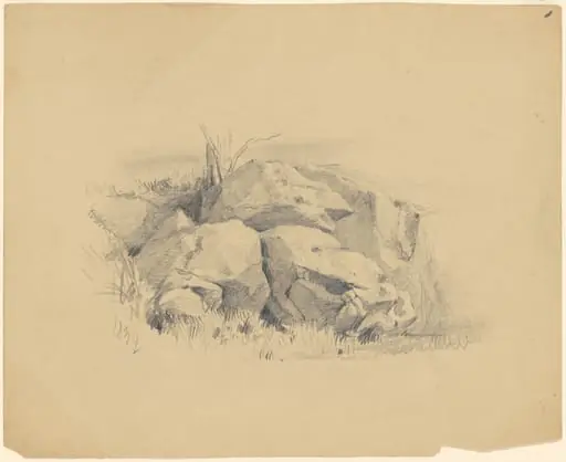 Rocks