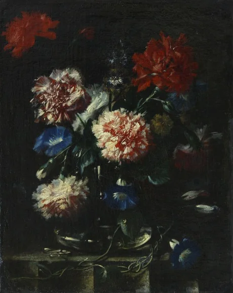 Dianthus, by Unknown, oil, 1650