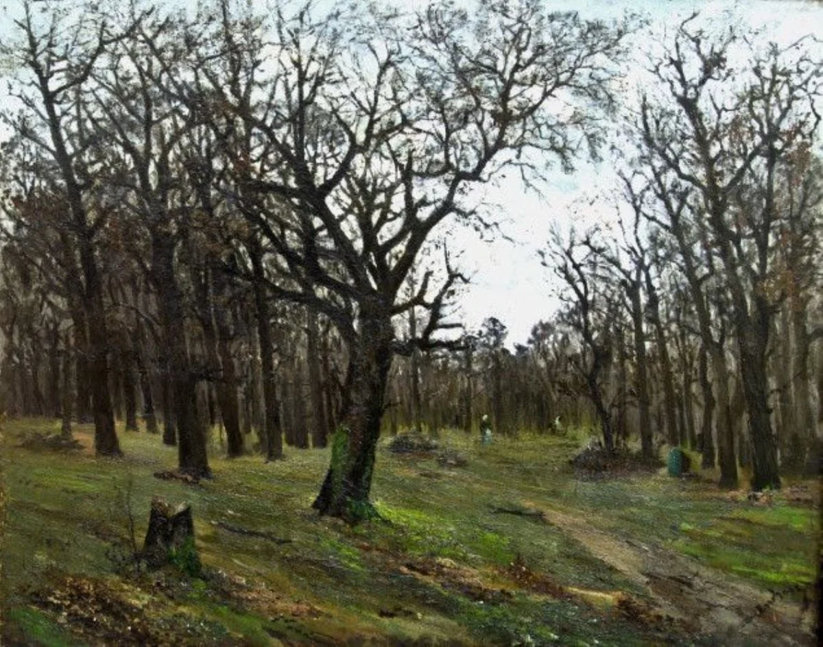 Pădure desfrunzită, by Ion Andreescu, unspecified