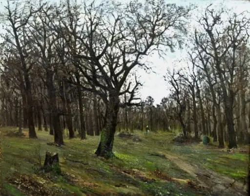 Pădure desfrunzită
