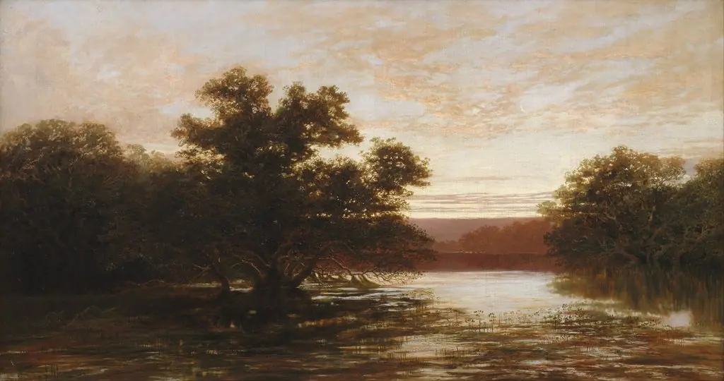 An Australian mangrove, ebb tide