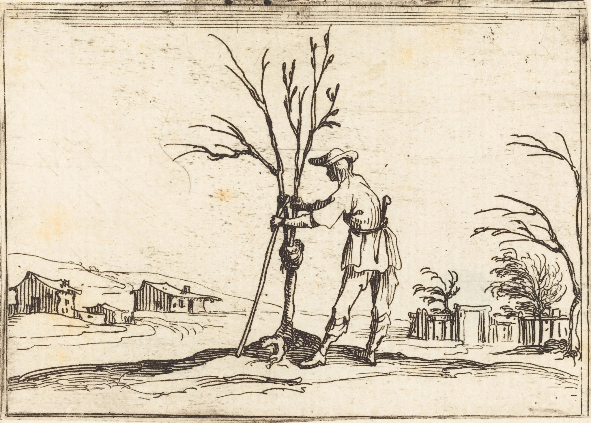 Gardener Pruning a Tree, by Jacques Callot, ink, 1628