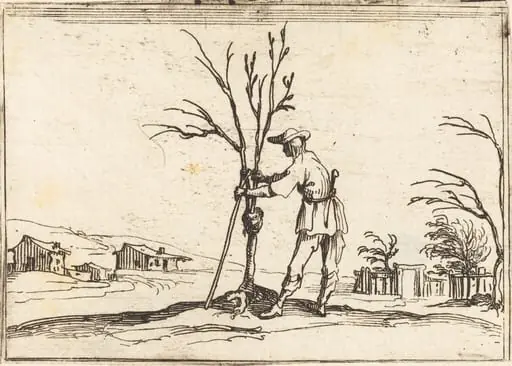 Gardener Pruning a Tree